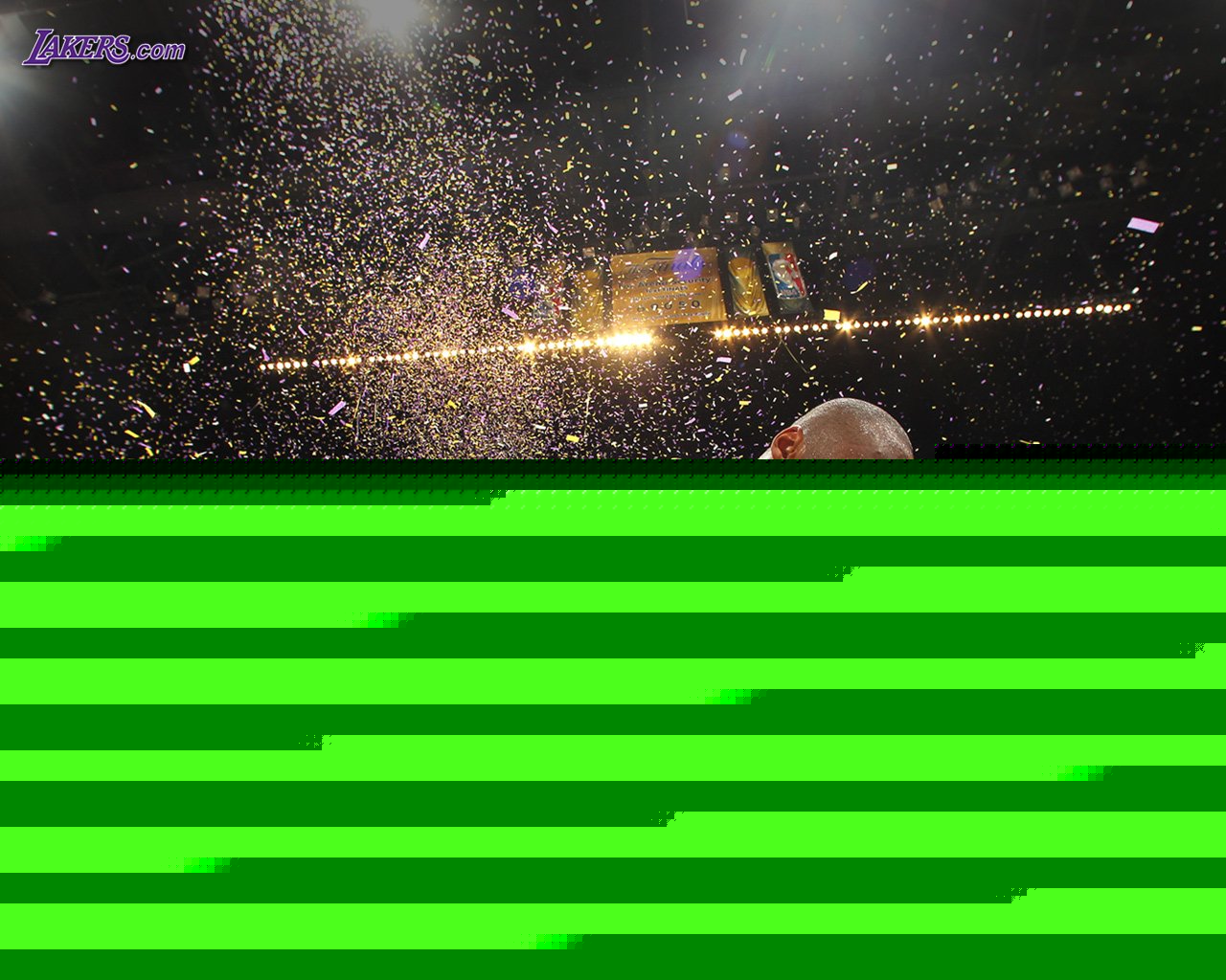 他们的自信 他们的自信