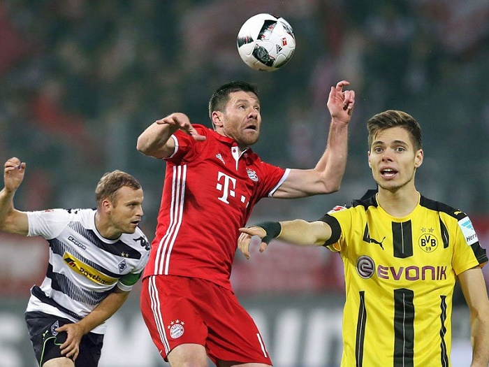 速成长引人 速成长引人