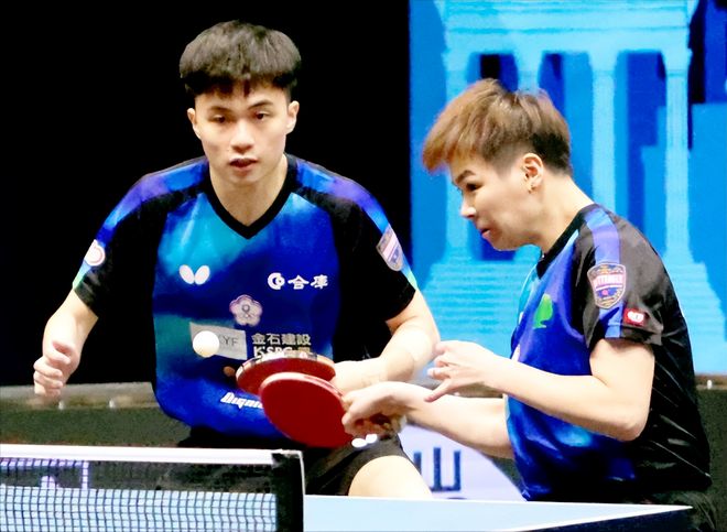 本届全新世 本届全新世