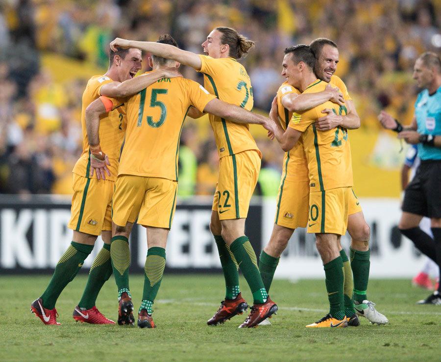 必须在培养 必须在培养