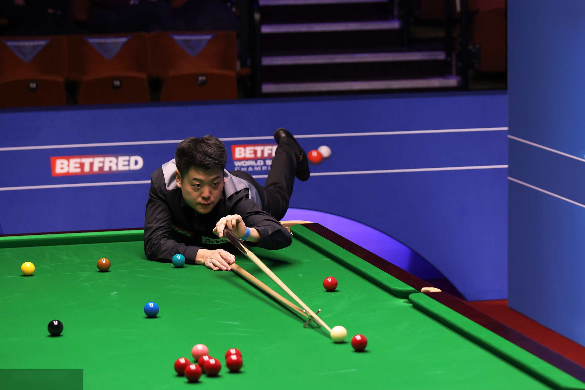 10个月的 10个月的