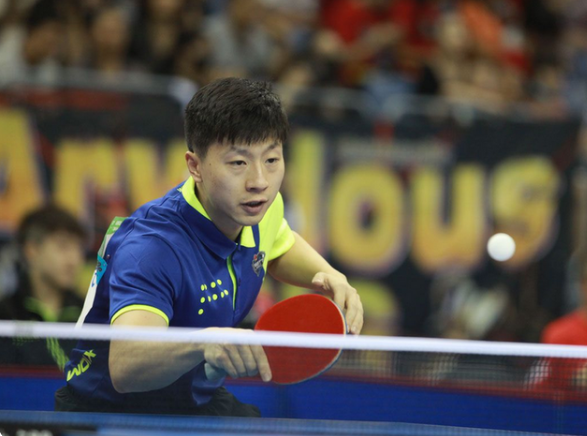 出手选择不 出手选择不